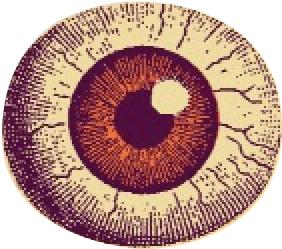 A graphical illustration of rays coming from a center point, animated to slowly rotate 360 degrees.